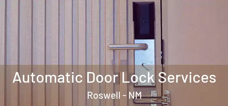 Automatic Door Lock Services Roswell - NM