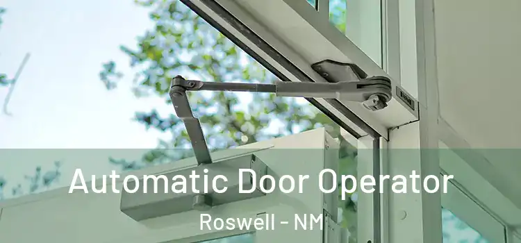 Automatic Door Operator Roswell - NM