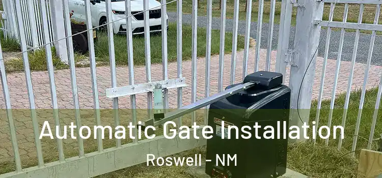 Automatic Gate Installation Roswell - NM