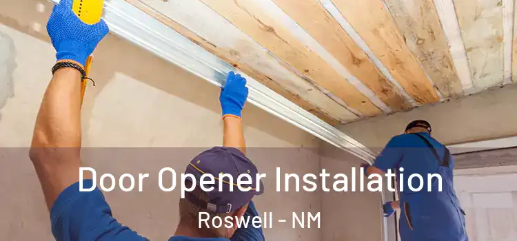 Door Opener Installation Roswell - NM