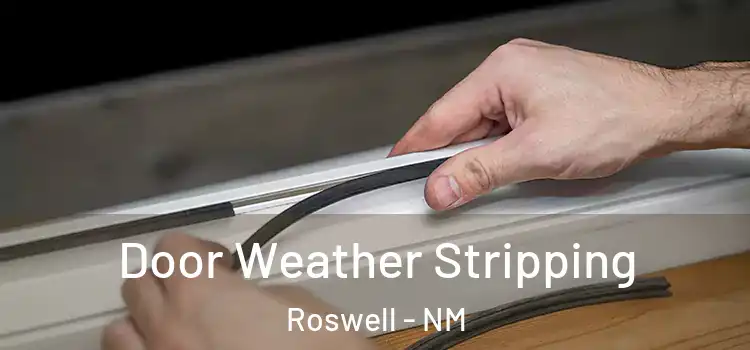 Door Weather Stripping Roswell - NM
