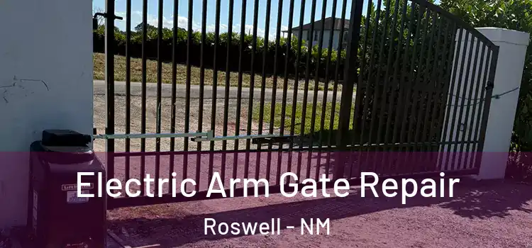 Electric Arm Gate Repair Roswell - NM