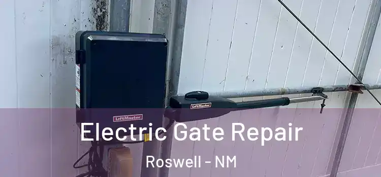 Electric Gate Repair Roswell - NM