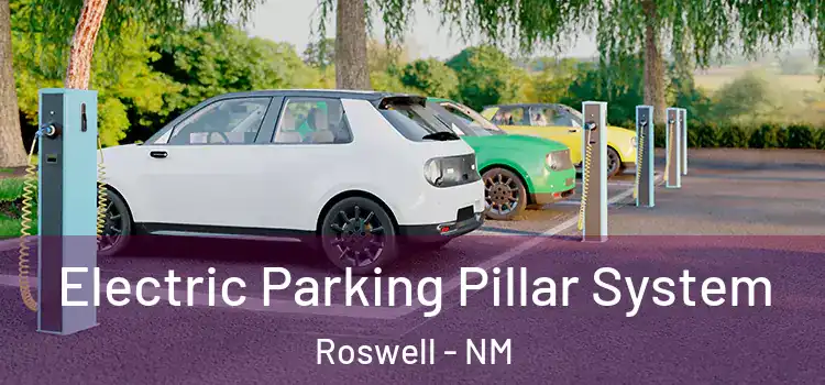 Electric Parking Pillar System Roswell - NM