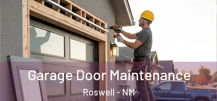 Garage Door Maintenance Roswell - NM