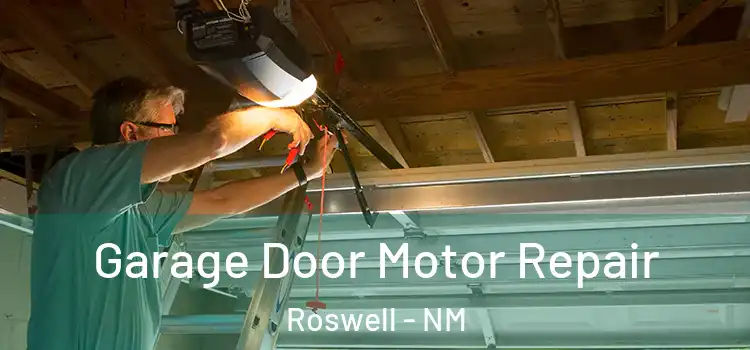  Garage Door Motor Repair Roswell - NM