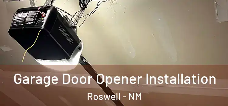  Garage Door Opener Installation Roswell - NM