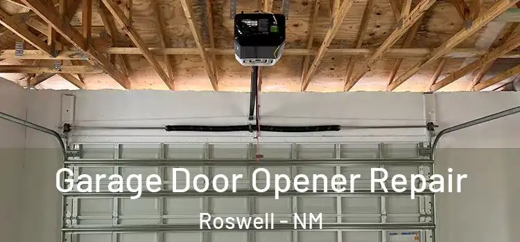 Garage Door Opener Repair Roswell - NM