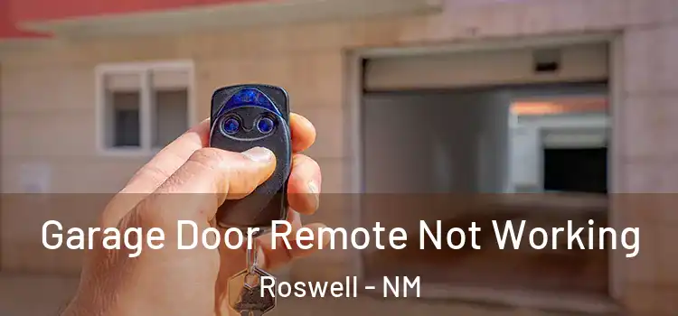  Garage Door Remote Not Working Roswell - NM