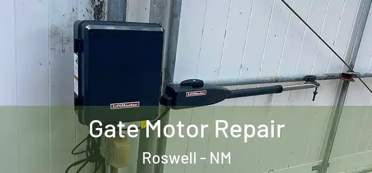 Gate Motor Repair Roswell - NM