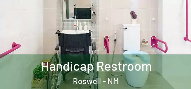 Handicap Restroom Roswell - NM