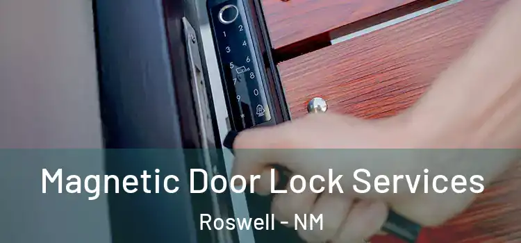 Magnetic Door Lock Services Roswell - NM