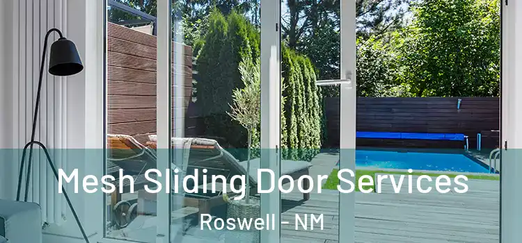 Mesh Sliding Door Services Roswell - NM