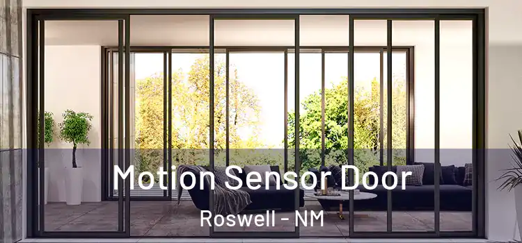 Motion Sensor Door Roswell - NM