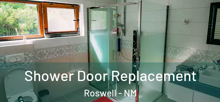 Shower Door Replacement Roswell - NM